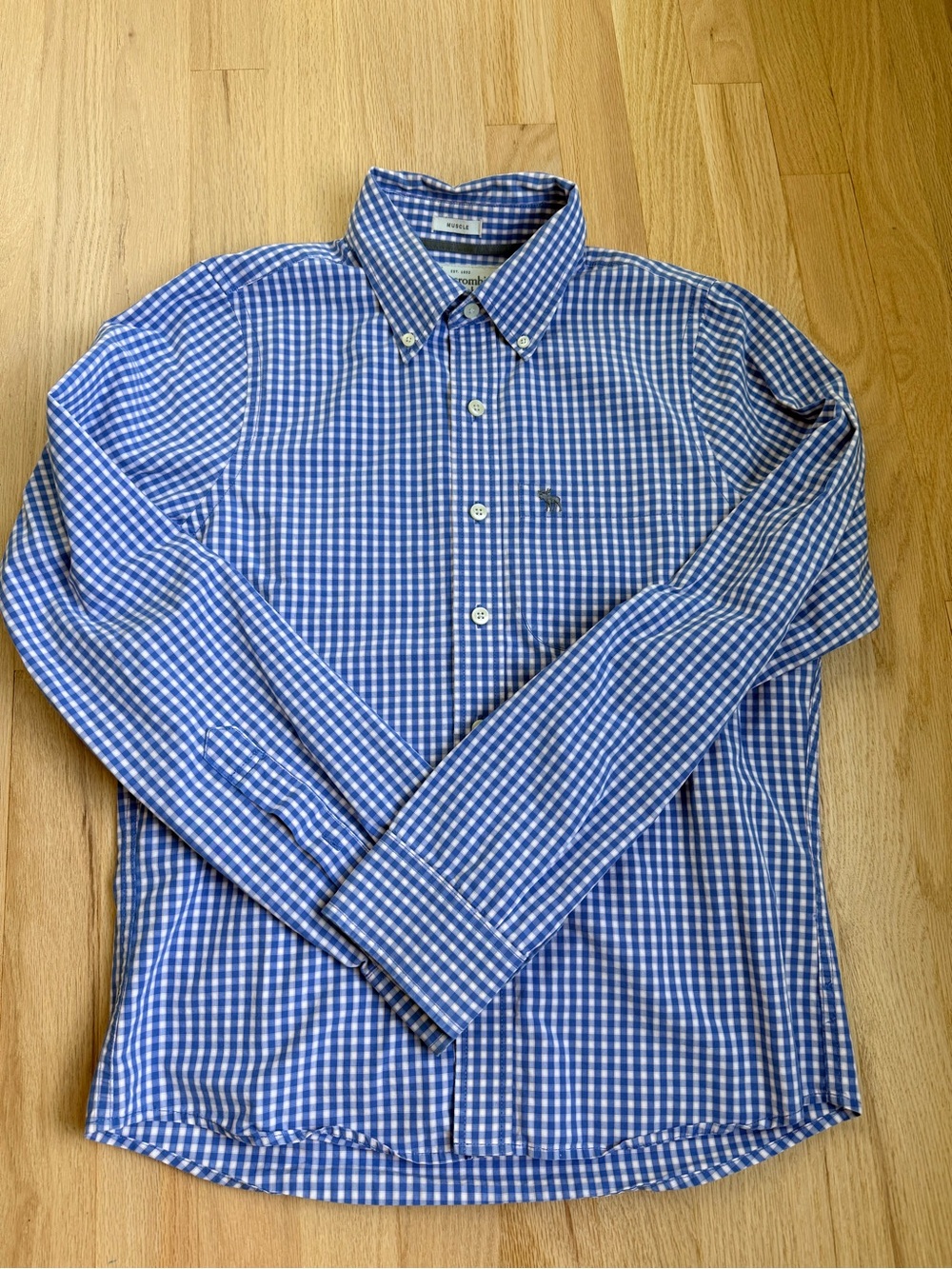Abercrombie & Fitch Blue and White Gingham Button-Down Shirt